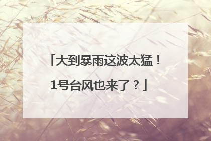 大到暴雨这波太猛！1号台风也来了？