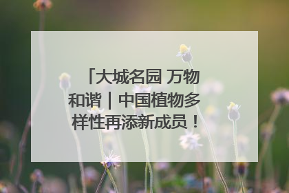 大城名园 万物和谐｜中国植物多样性再添新成员！它只在西藏墨脱