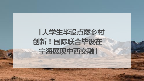 大学生毕设点燃乡村创新！国际联合毕设在宁海展现中西交融