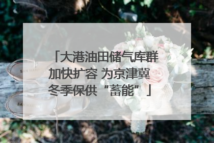 大港油田储气库群加快扩容 为京津冀冬季保供“蓄能”