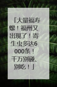 大量福寿螺！福州又出现了！寄生虫多达6000条！千万别碰、别吃！