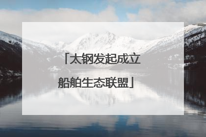 太钢发起成立船舶生态联盟