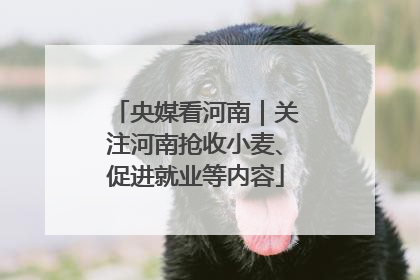 央媒看河南｜关注河南抢收小麦、促进就业等内容