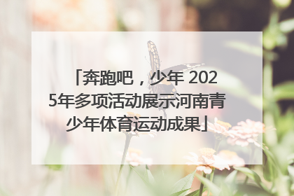 奔跑吧，少年 2025年多项活动展示河南青少年体育运动成果