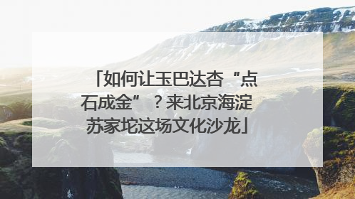 如何让玉巴达杏“点石成金”？来北京海淀苏家坨这场文化沙龙