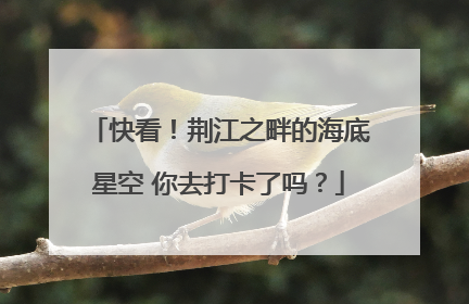 快看！荆江之畔的海底星空 你去打卡了吗？