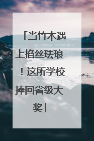 当竹木遇上掐丝珐琅！这所学校捧回省级大奖