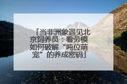 当非洲象遇见北京饲养员：看劳模如何破解“吨位萌宠”的养成密码