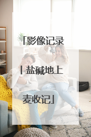 影像记录丨盐碱地上麦收记