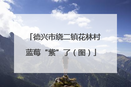 德兴市绕二镇花林村蓝莓“紫”了（图）