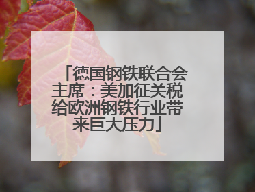 德国钢铁联合会主席：美加征关税给欧洲钢铁行业带来巨大压力