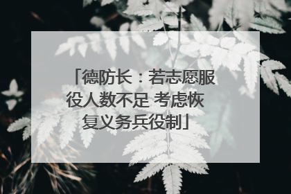 德防长：若志愿服役人数不足 考虑恢复义务兵役制