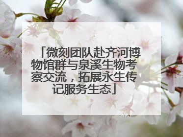微刻团队赴齐河博物馆群与泉溪生物考察交流，拓展永生传记服务生态