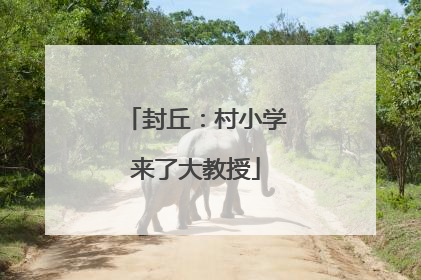 封丘：村小学来了大教授
