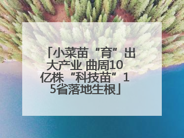 小菜苗“育”出大产业 曲周10亿株“科技苗”15省落地生根