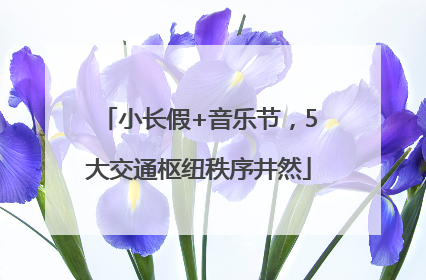 小长假+音乐节，5大交通枢纽秩序井然
