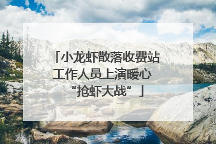 小龙虾散落收费站 工作人员上演暖心“抢虾大战”