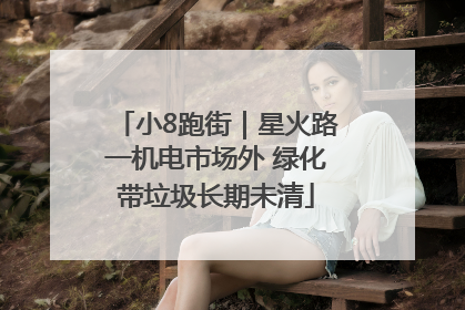 小8跑街｜星火路一机电市场外 绿化带垃圾长期未清