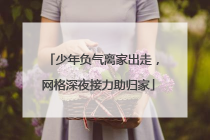少年负气离家出走，网格深夜接力助归家