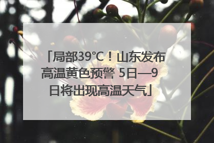 局部39℃！山东发布高温黄色预警 5日—9日将出现高温天气