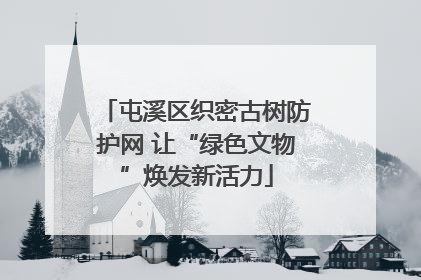 屯溪区织密古树防护网 让“绿色文物”焕发新活力