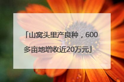 山窝头里产良种，600多亩地增收近20万元