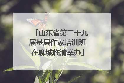 山东省第二十九届基层作家培训班在聊城临清举办