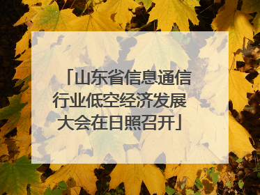 山东省信息通信行业低空经济发展大会在日照召开