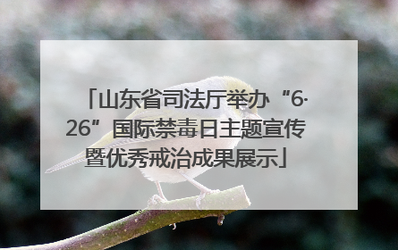 山东省司法厅举办“6·26”国际禁毒日主题宣传暨优秀戒治成果展示