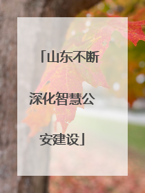 山东不断深化智慧公安建设