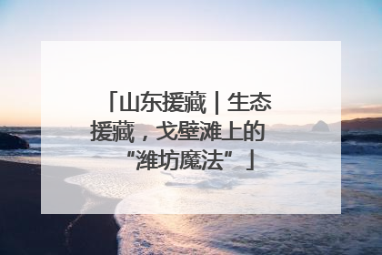 山东援藏｜生态援藏，戈壁滩上的“潍坊魔法”