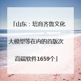 山东：培育齐鲁文化大模型等在内的首版次高端软件1659个