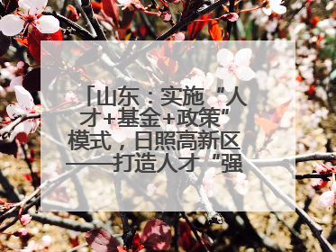 山东：实施“人才+基金+政策”模式，日照高新区——打造人才“强磁场”