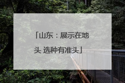 山东：展示在地头 选种有准头