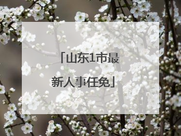 山东1市最新人事任免