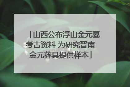 山西公布浮山金元墓考古资料 为研究晋南金元葬具提供样本