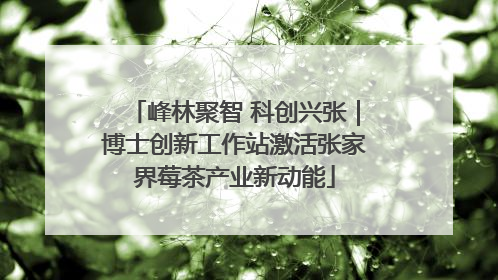 峰林聚智 科创兴张｜博士创新工作站激活张家界莓茶产业新动能