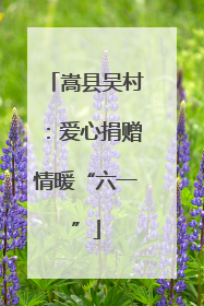 嵩县吴村：爱心捐赠情暖“六一”