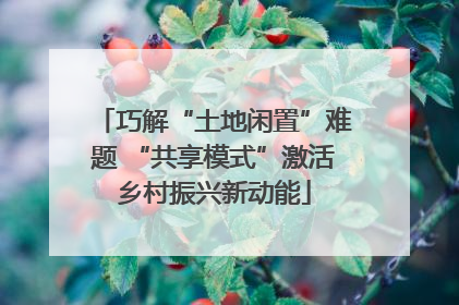 巧解“土地闲置”难题 “共享模式”激活乡村振兴新动能