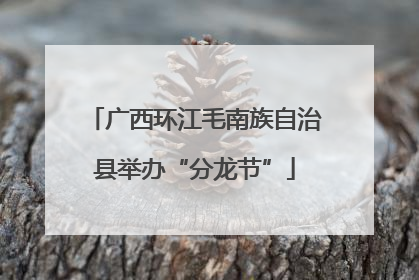 广西环江毛南族自治县举办“分龙节”