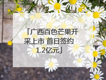 广西百色芒果开采上市 首日签约1.2亿元