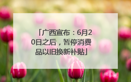 广西宣布：6月20日之后，暂停消费品以旧换新补贴