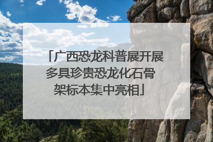 广西恐龙科普展开展 多具珍贵恐龙化石骨架标本集中亮相