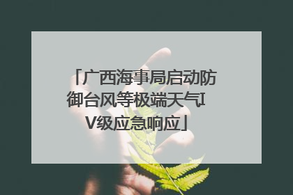 广西海事局启动防御台风等极端天气IV级应急响应