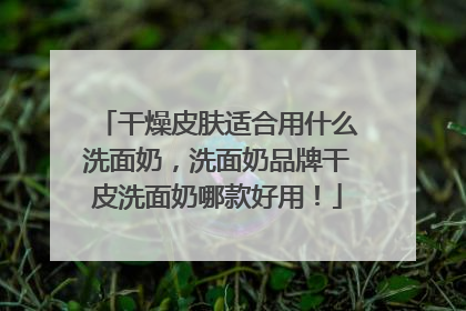 干燥皮肤适合用什么洗面奶，洗面奶品牌干皮洗面奶哪款好用！
