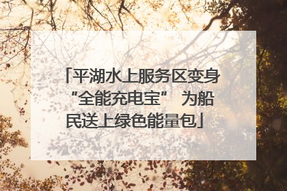 平湖水上服务区变身“全能充电宝” 为船民送上绿色能量包