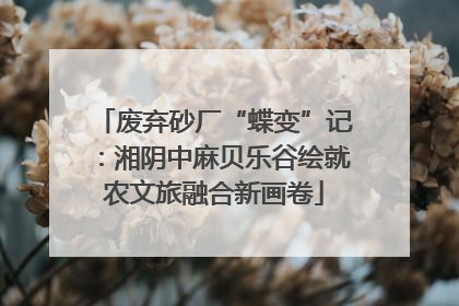 废弃砂厂“蝶变”记：湘阴中麻贝乐谷绘就农文旅融合新画卷