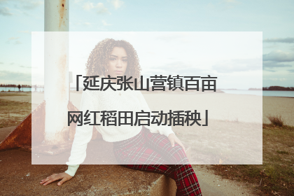 延庆张山营镇百亩网红稻田启动插秧