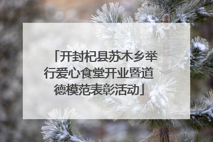 开封杞县苏木乡举行爱心食堂开业暨道德模范表彰活动