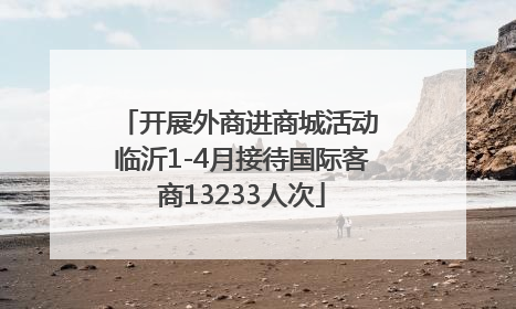 开展外商进商城活动 临沂1-4月接待国际客商13233人次
